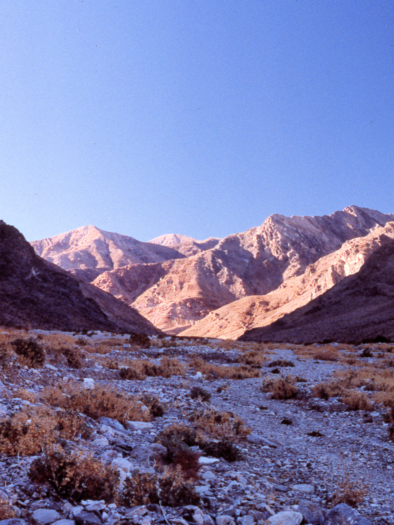 California, Inyo County, Death Valley, Trail Canyon
