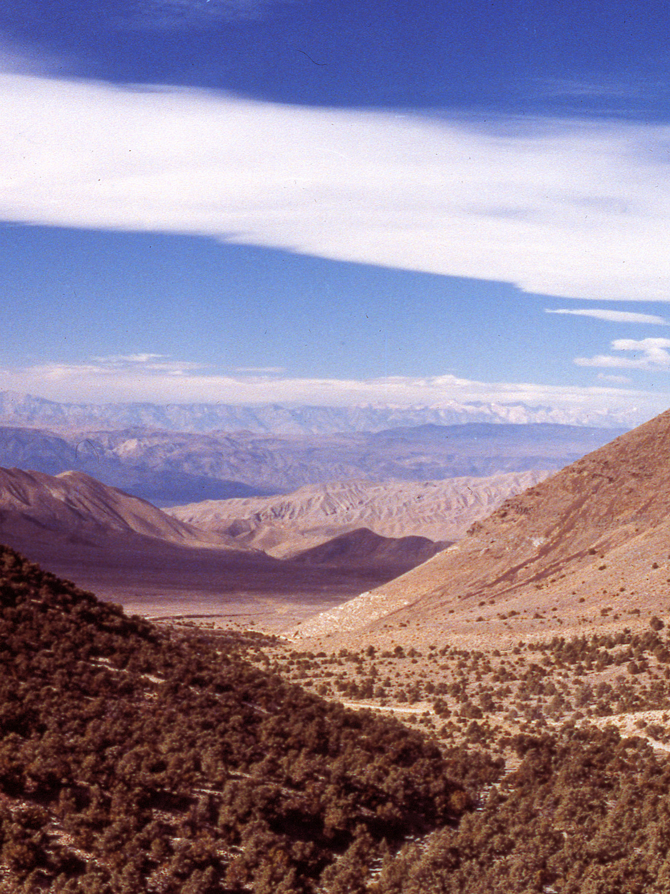 California, Inyo County, Death Valley, Wildrose Canyon