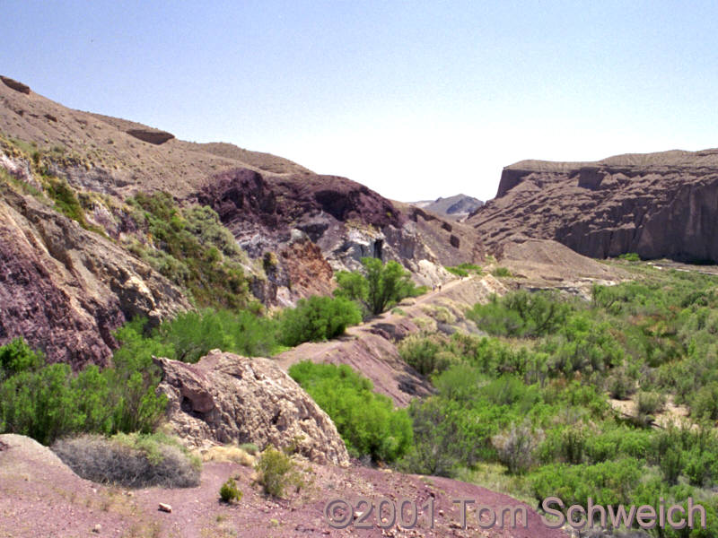 Hanging Gardens at the Amargosa Gorge.