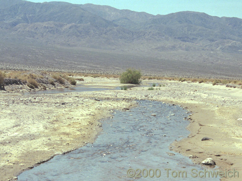 The Amargosa River where it crosses California Highway 127.