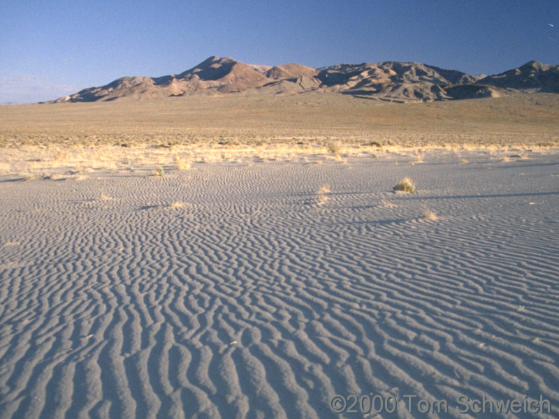 Ripples in the sand at Eureka Sand Dunes