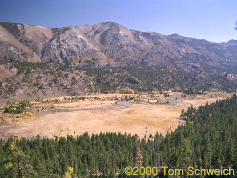 Leavitt Meadows and the West Walker River.