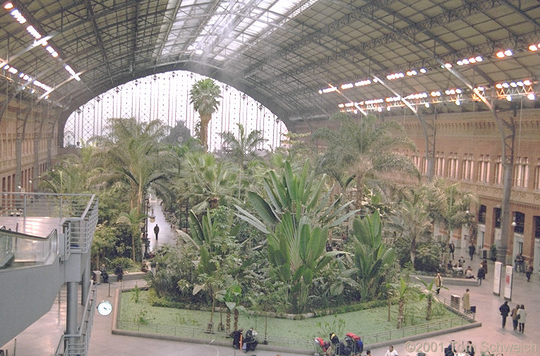 Atocha Railroad Station