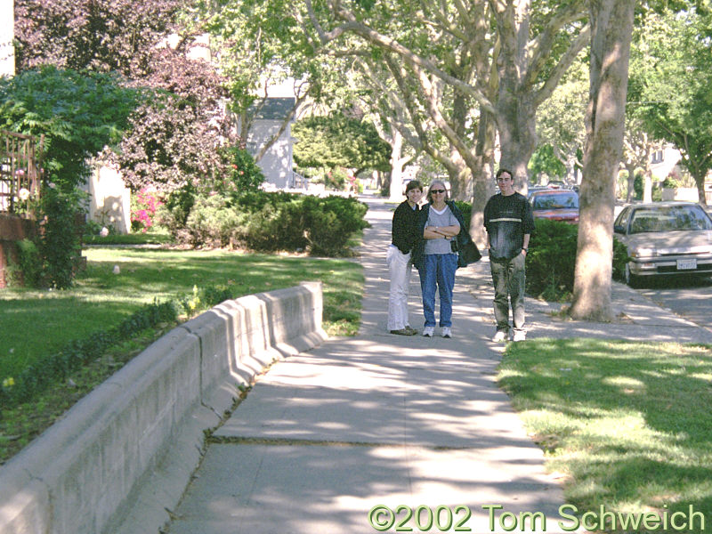 Offset sidewalk in Hollister.