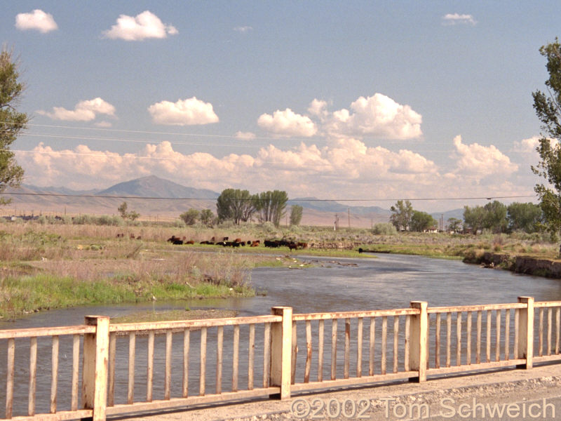 Looking upstream (east) up the Humboldt River at Beowawe.