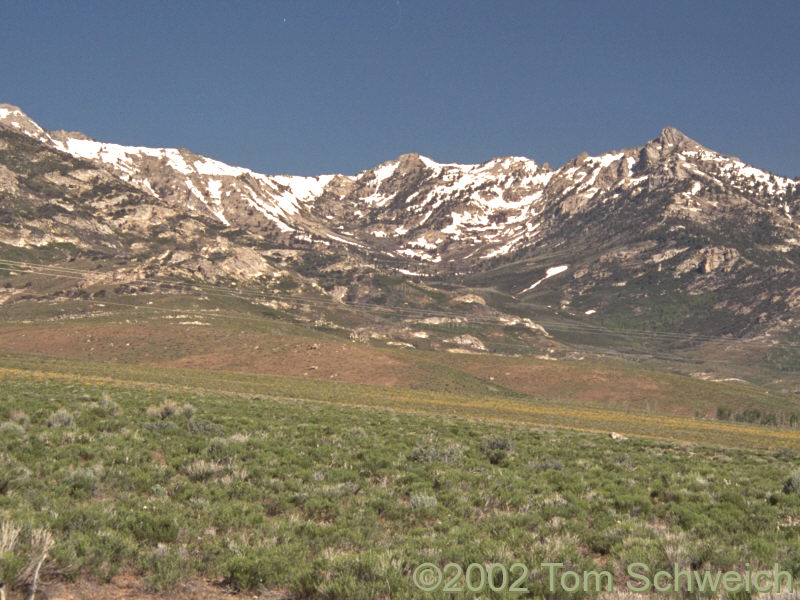 Canyon on east side of Ruby Mountains