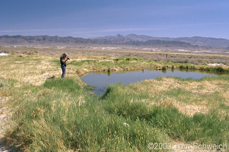 Borax Spring at Zabriskie.