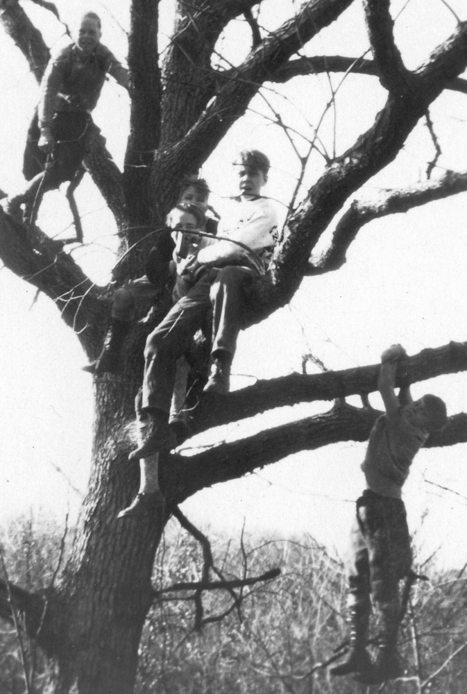 Five kids in a tree