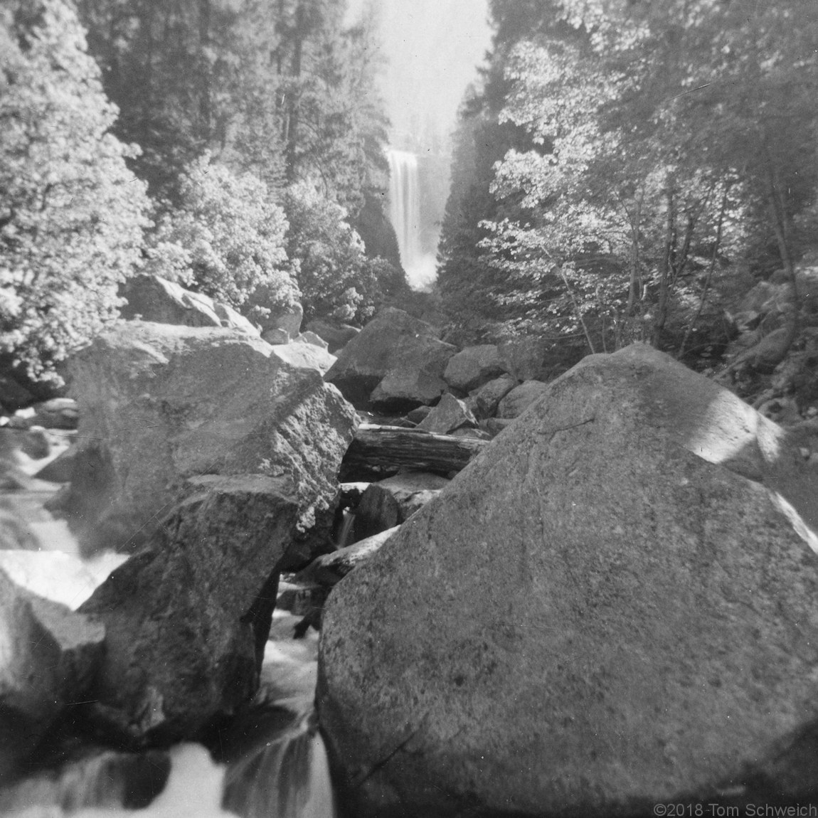 California, Mariposa County, Yosemite National Park