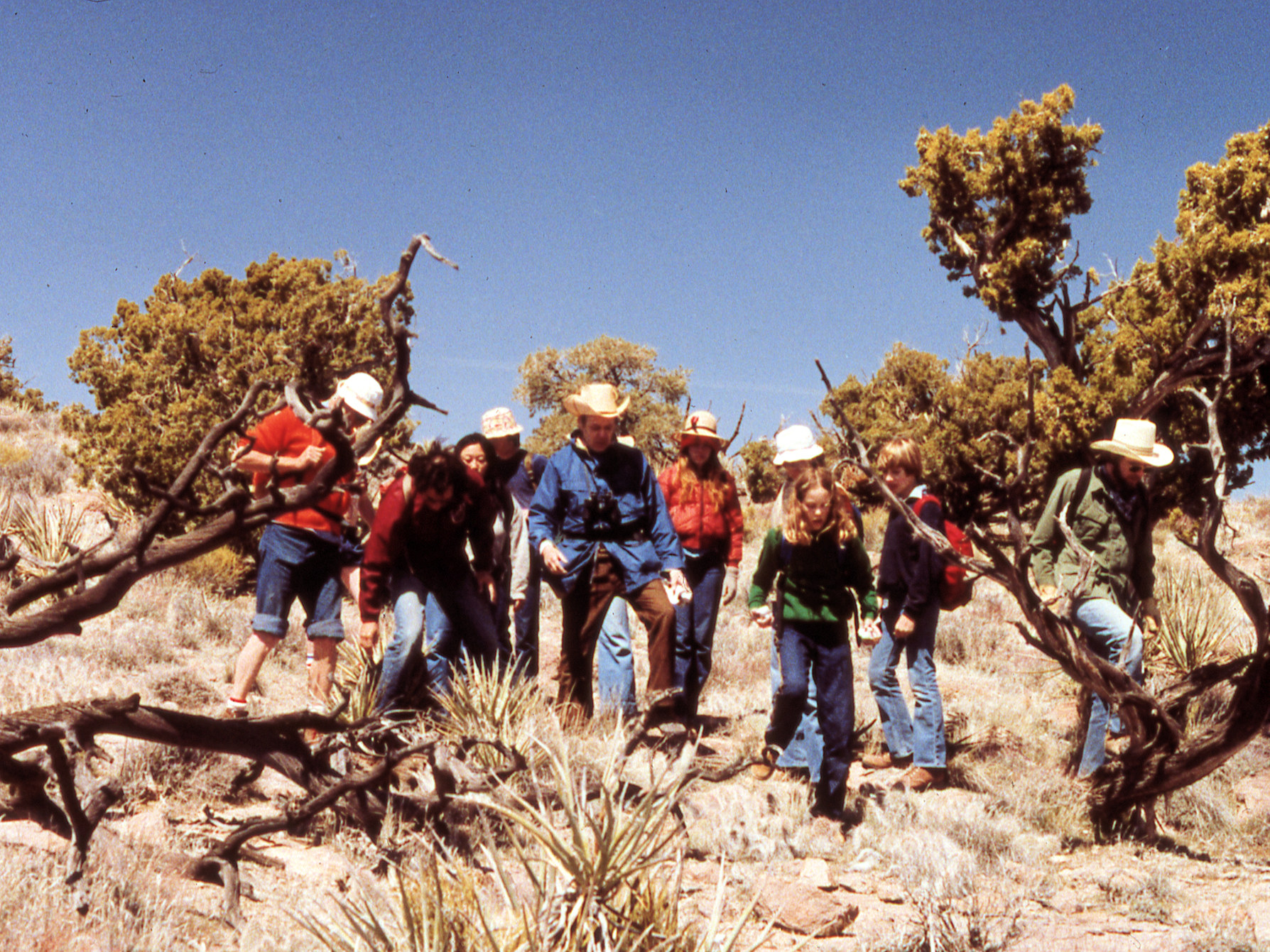 California, San Bernardino County, Barber Mountain