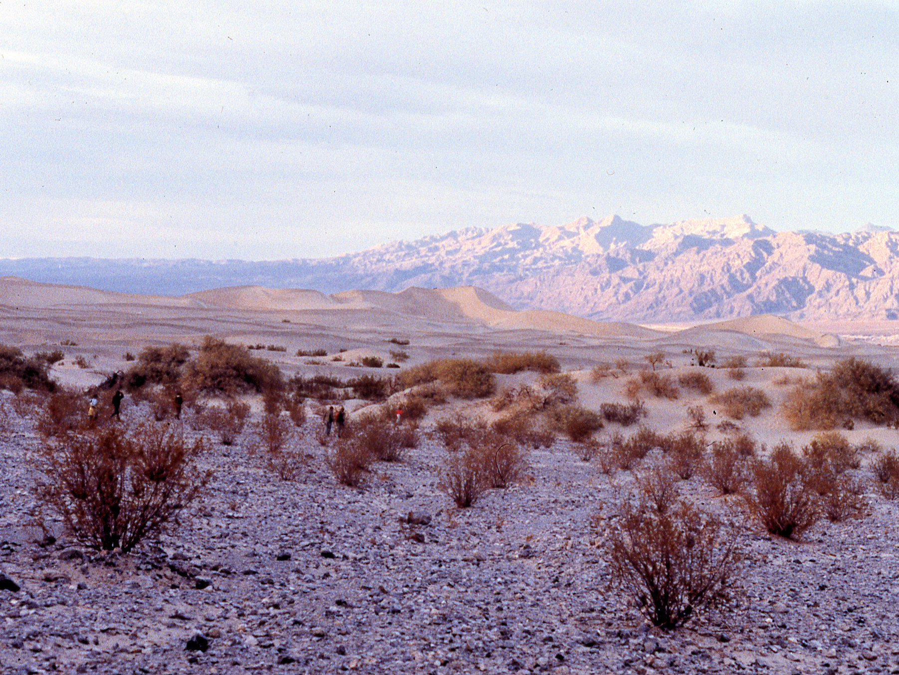 California, Inyo County, Death Valley Dunes