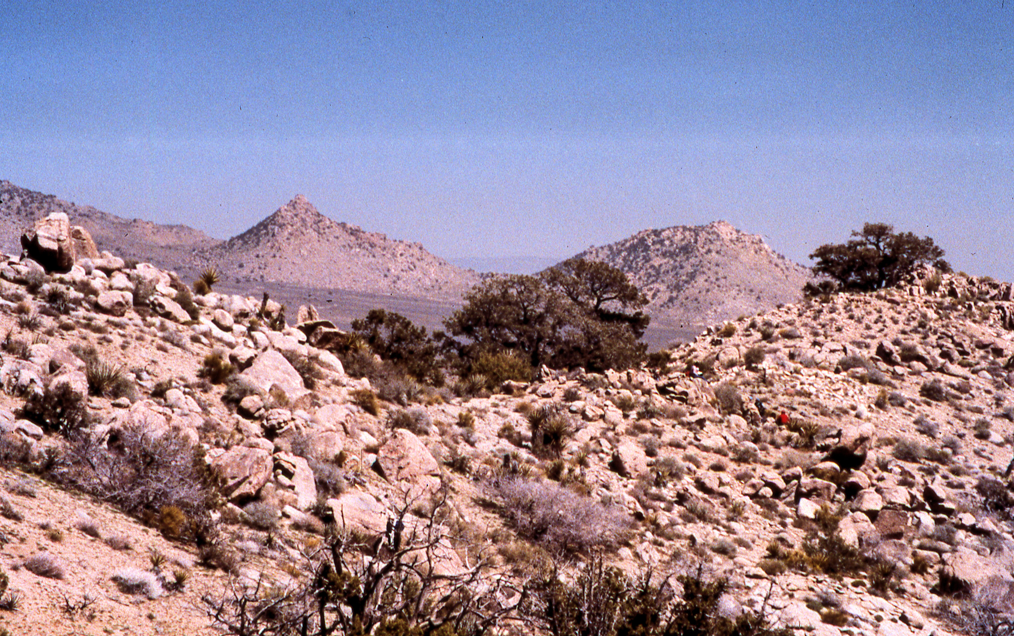 California, San Bernardino County, Gold Valley Spring