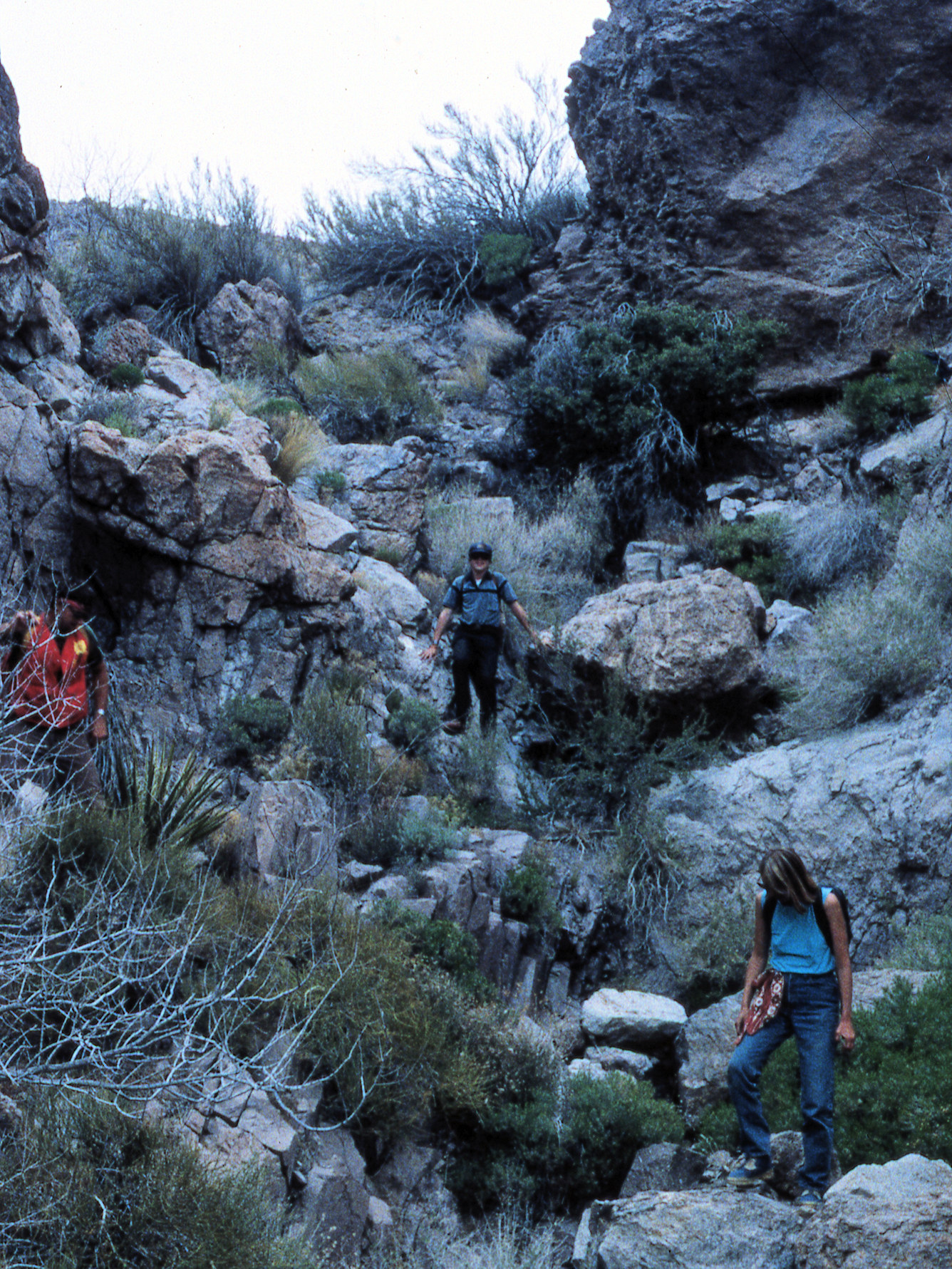 California, San Bernardino County, Woods Mountains