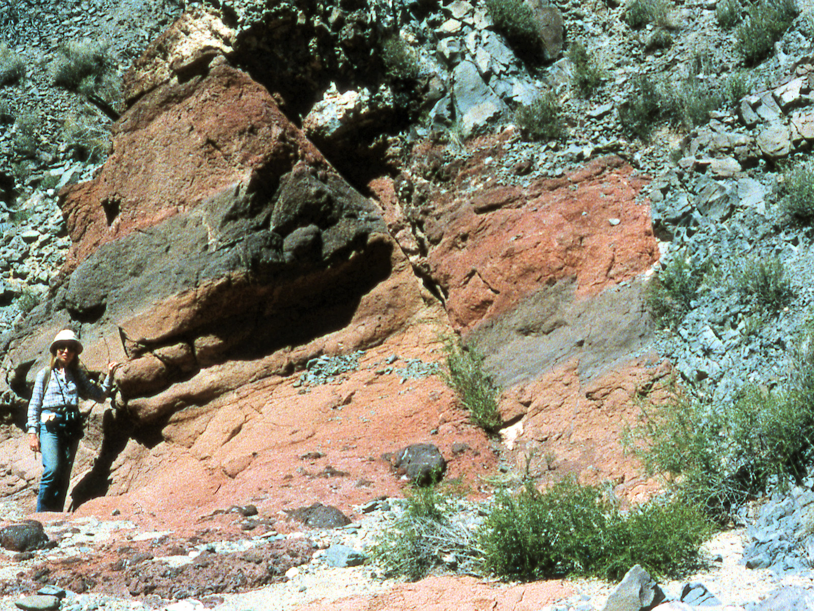 California, San Bernardino County, Piute Canyon