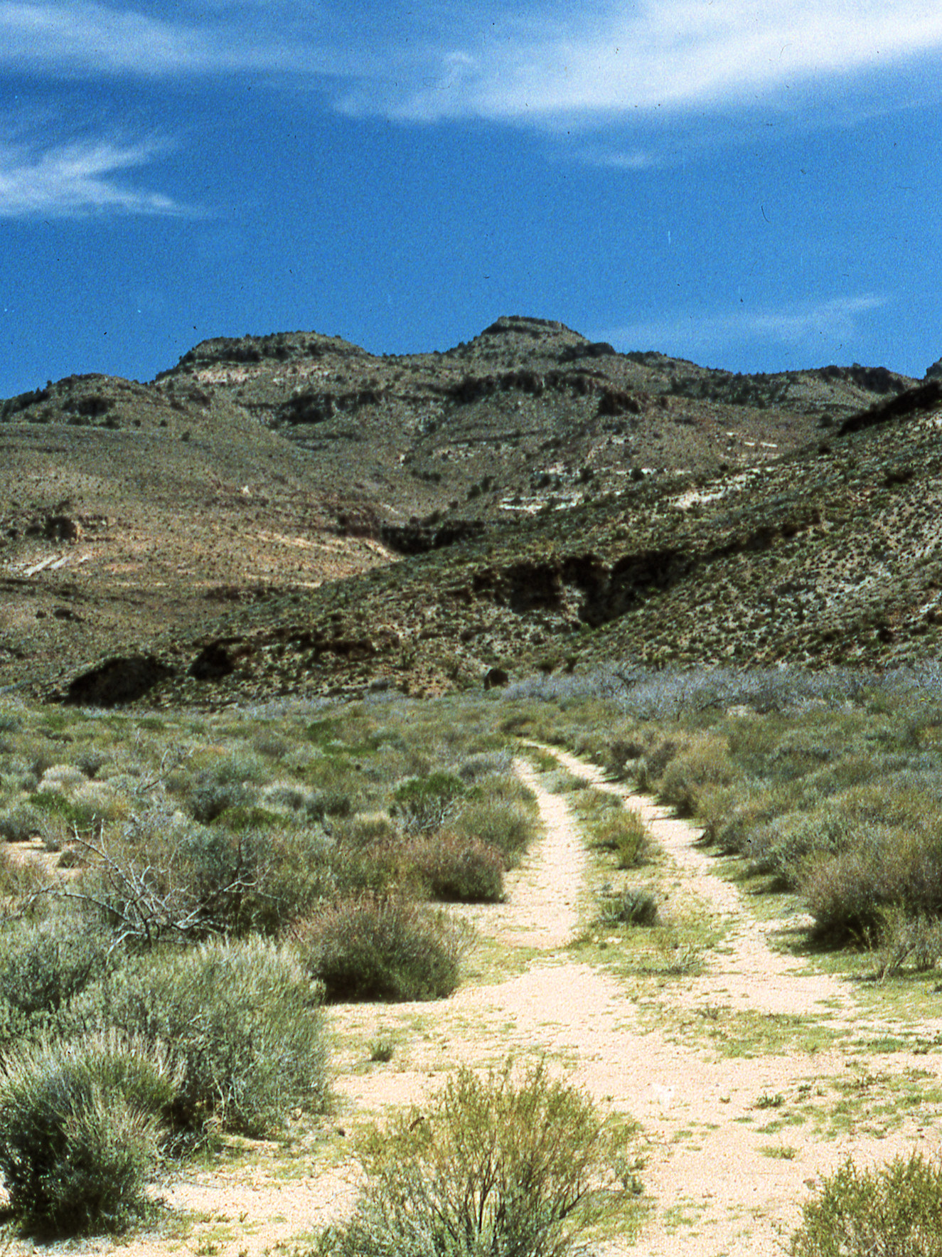 California, San Bernardino County, Woods Mountains