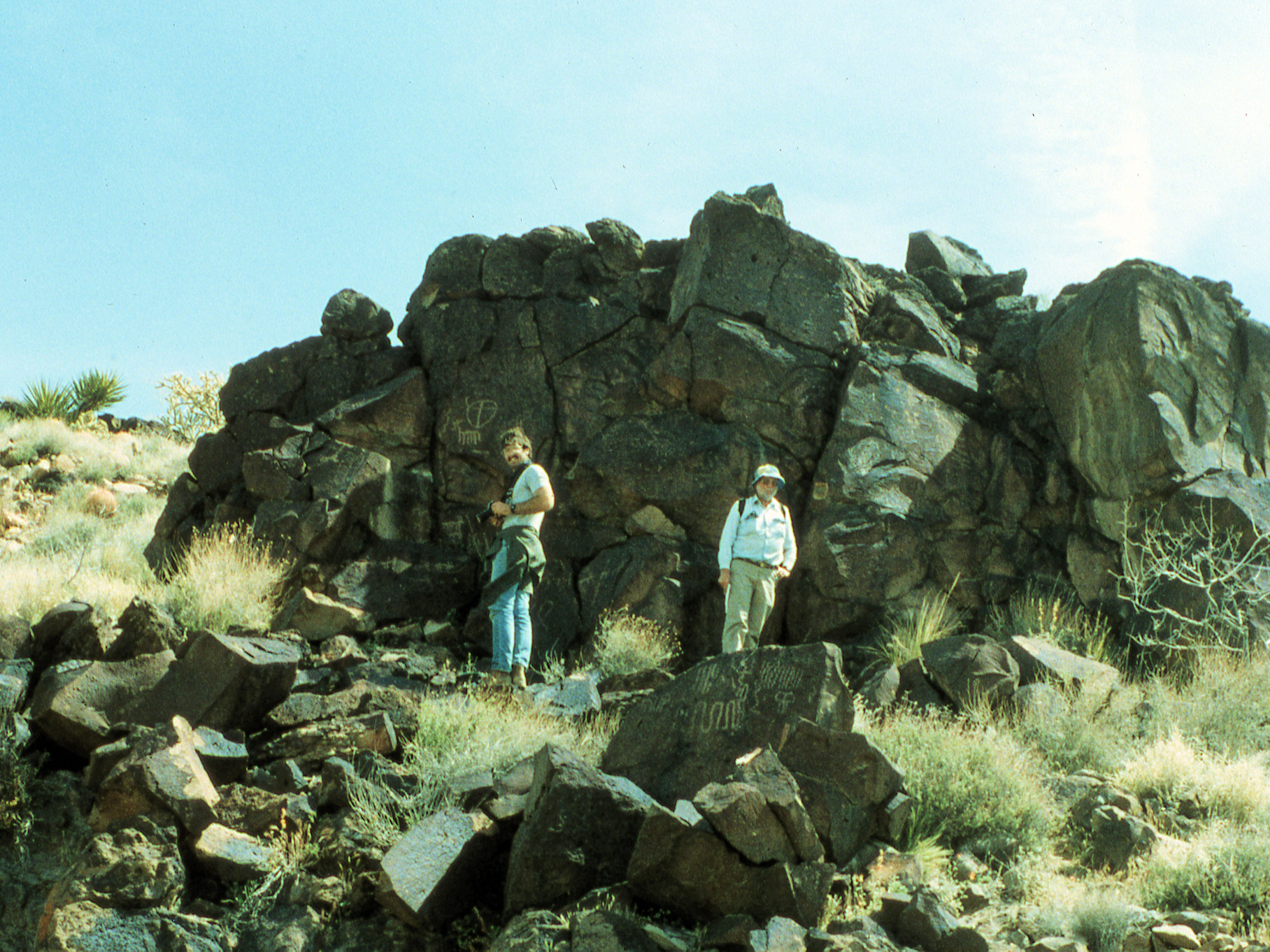 California, San Bernardino County, Woods Mountains