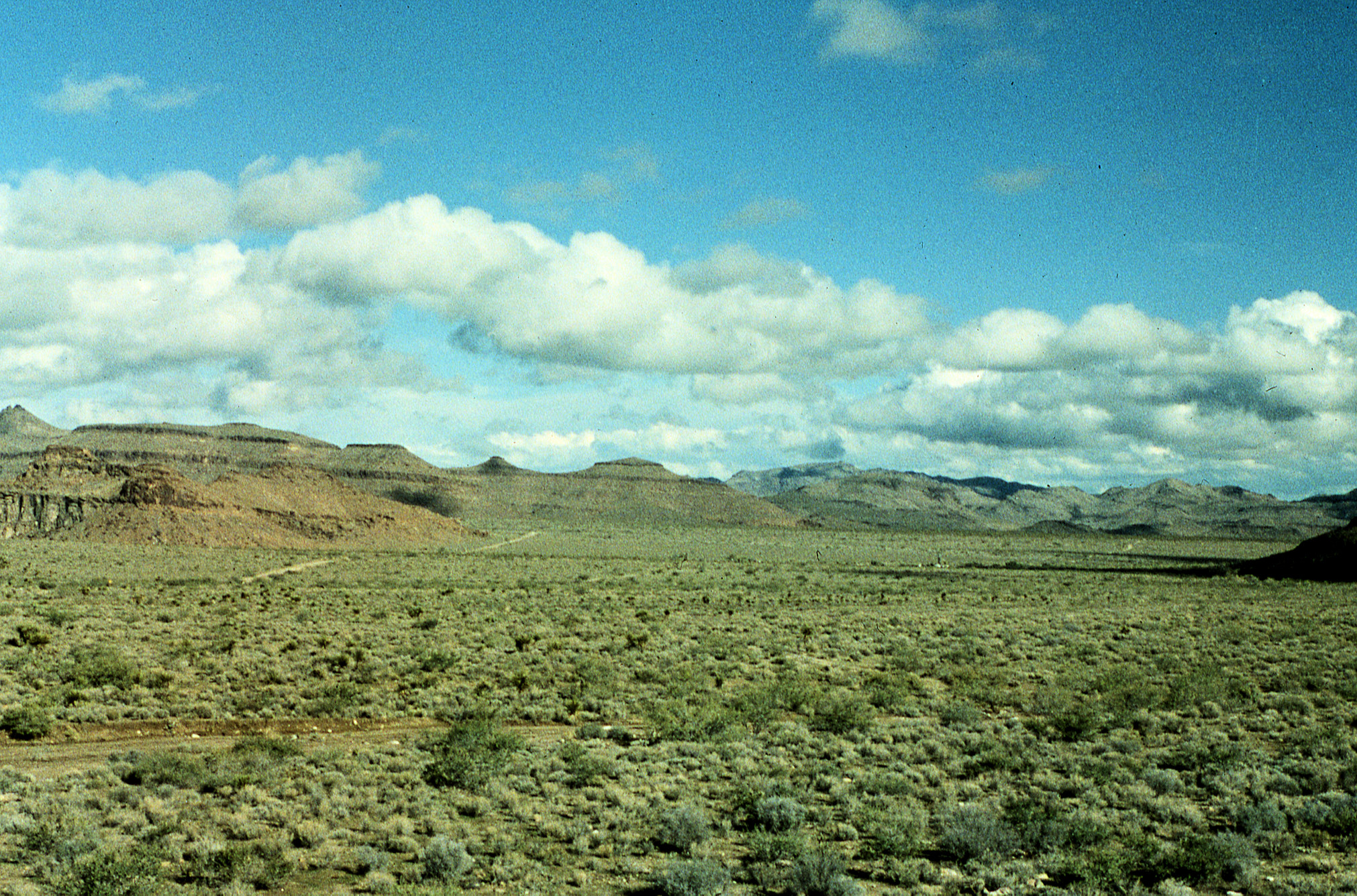 California, San Bernardino County, Wild Horse Canyon