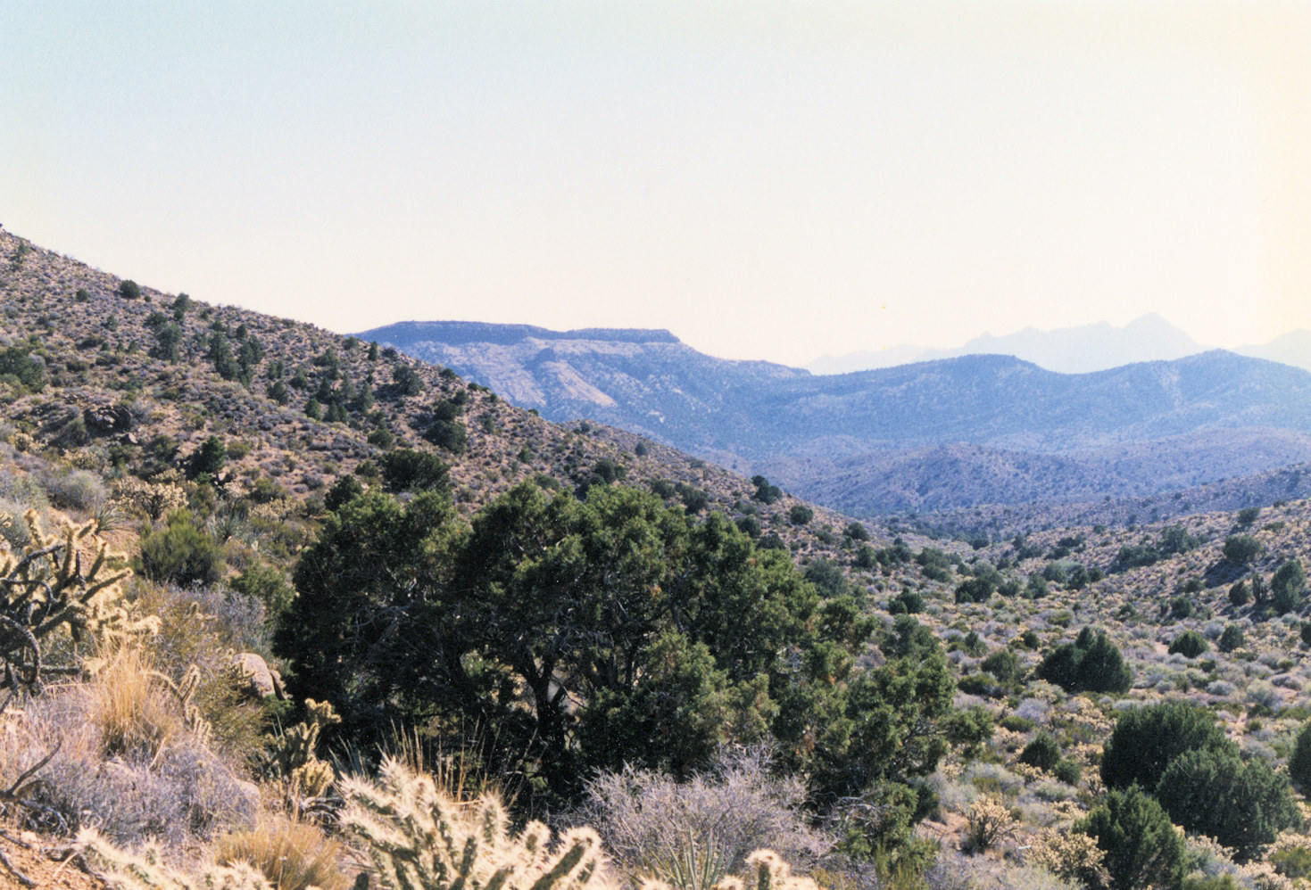 California, San Bernardino County, Wild Horse Mesa