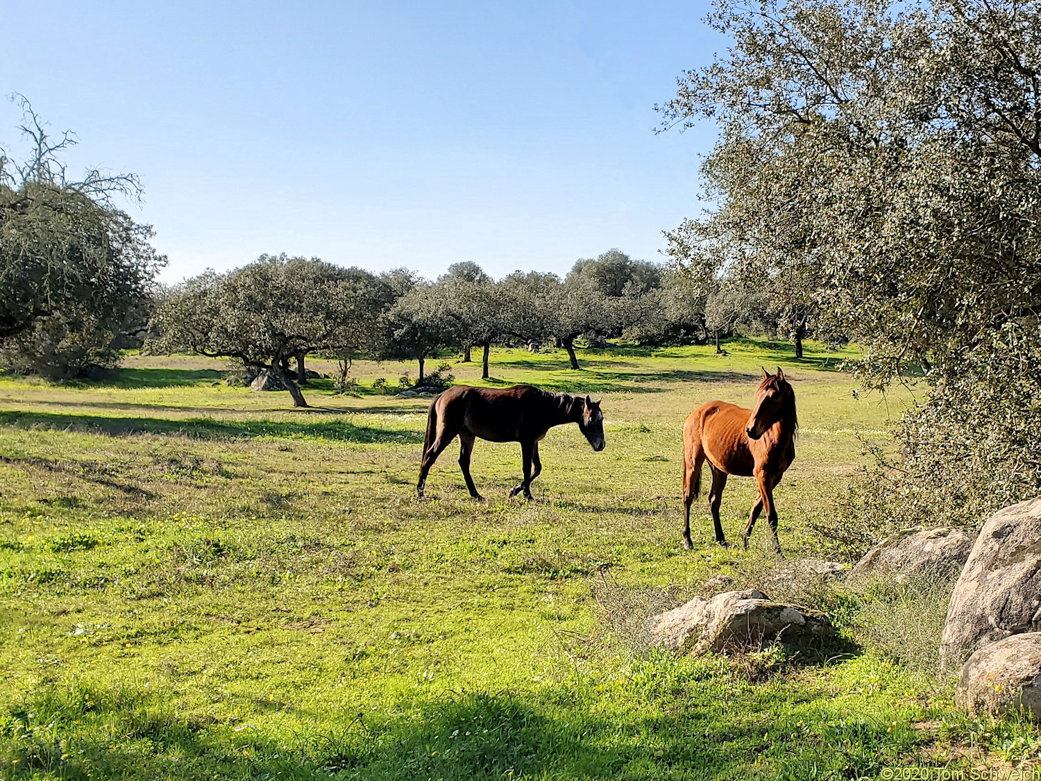 Portugal, Alentejo, Portalegre, Elvas