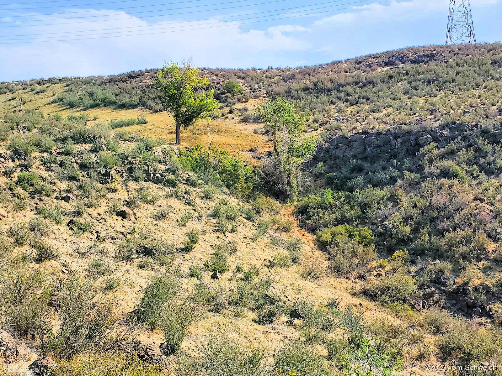 Colorado, Jefferson County, South Table Mountain, Olivine Trail