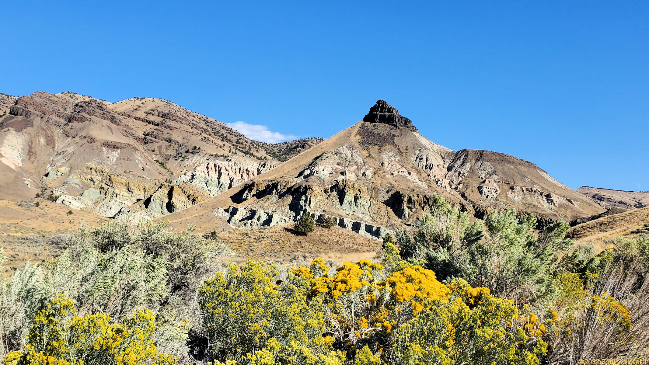 Oregon, Grant County, John Day Fossil Beds N. M.