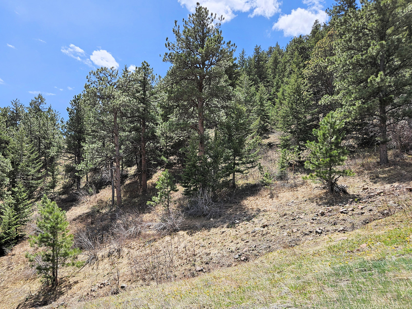 Colorado, Jefferson County, Coal Creek Canyon