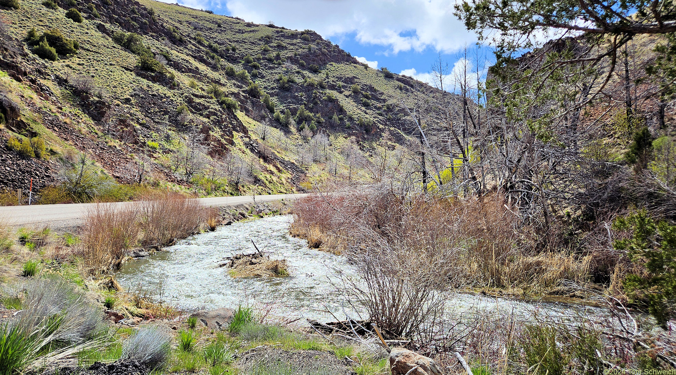 Nevada, Elko County, Owyhee River