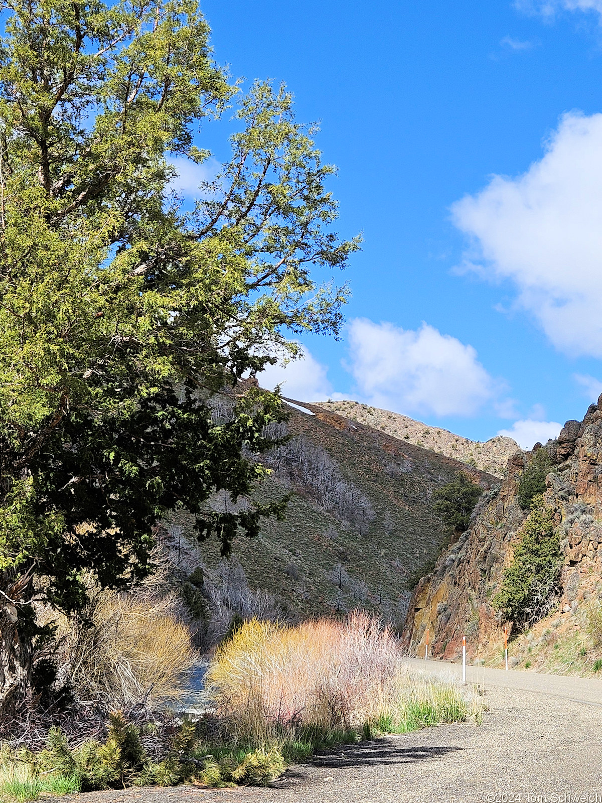 Nevada, Elko County, Owyhee River