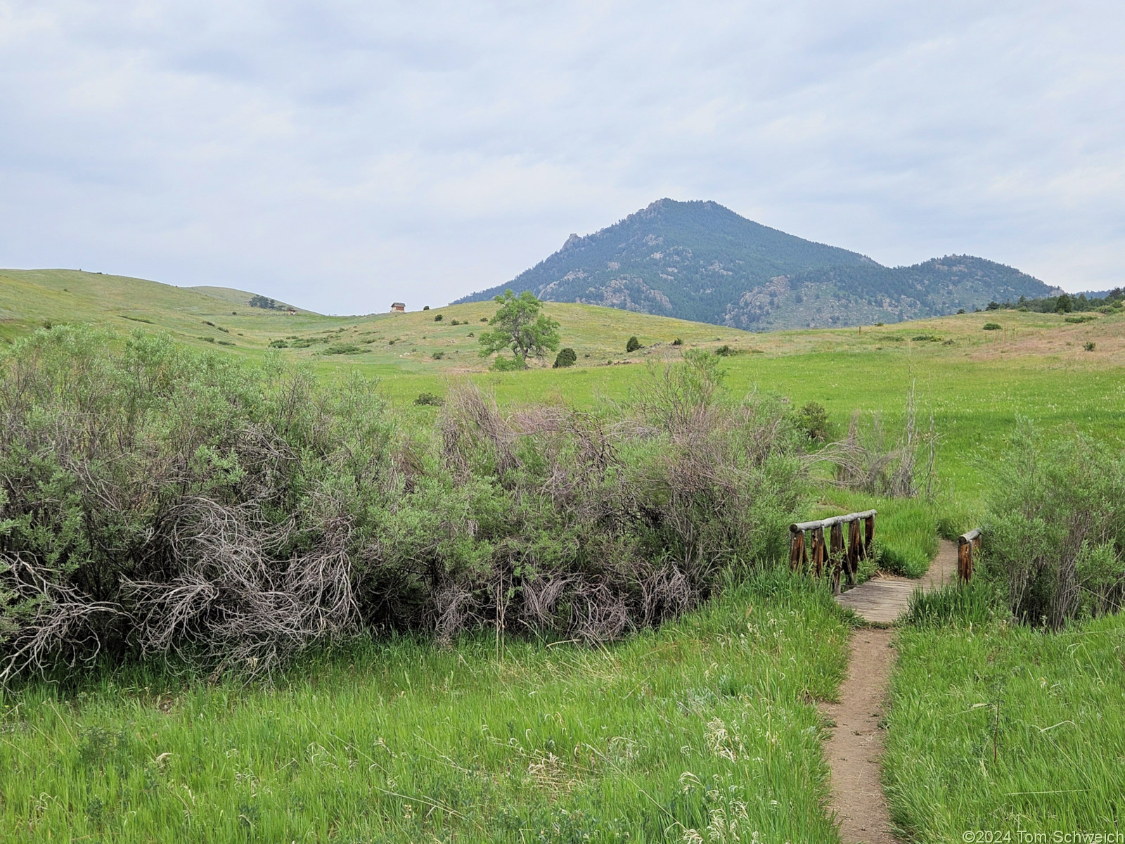 Colorado, Jefferson County, Centennial Cone Park