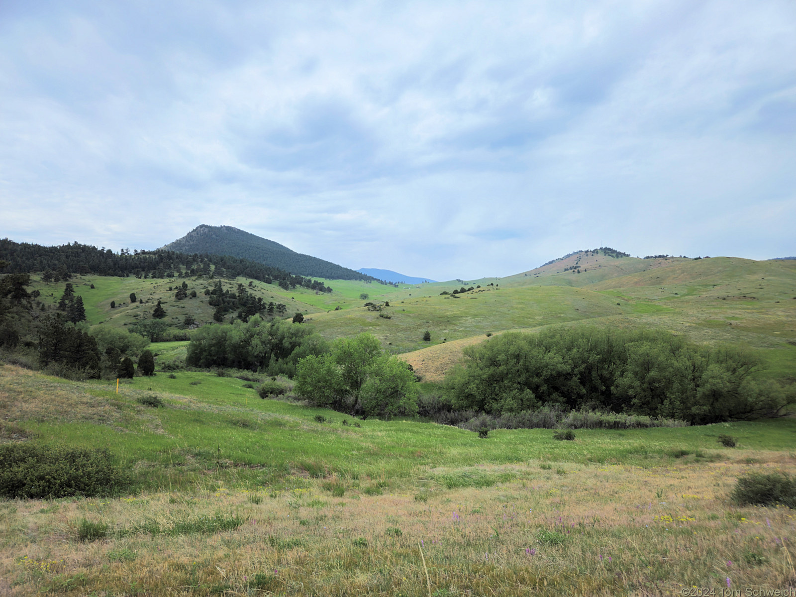 Colorado, Jefferson County, Centennial Cone Park