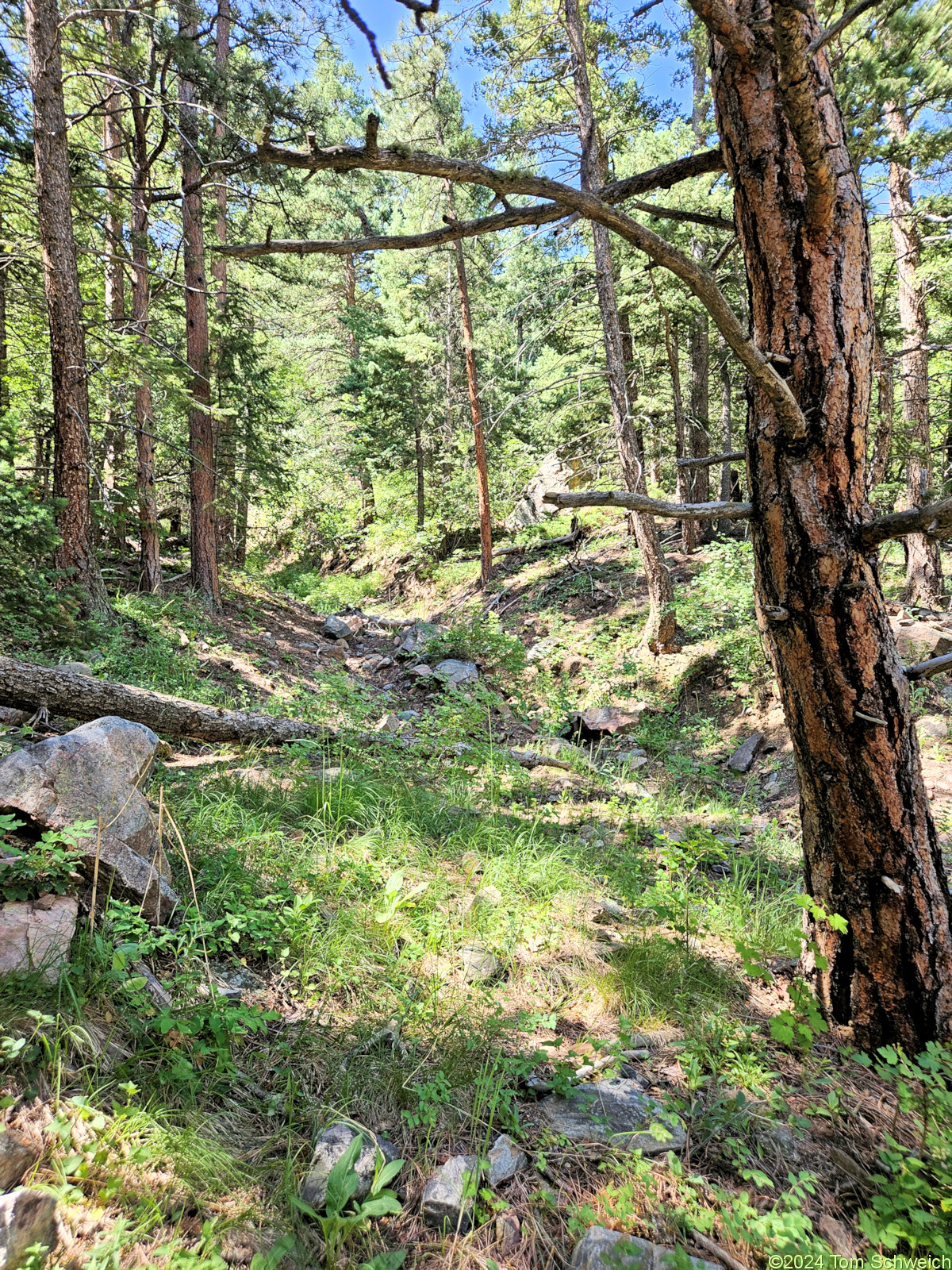 Colorado, Jefferson County, Coal Creek Canyon