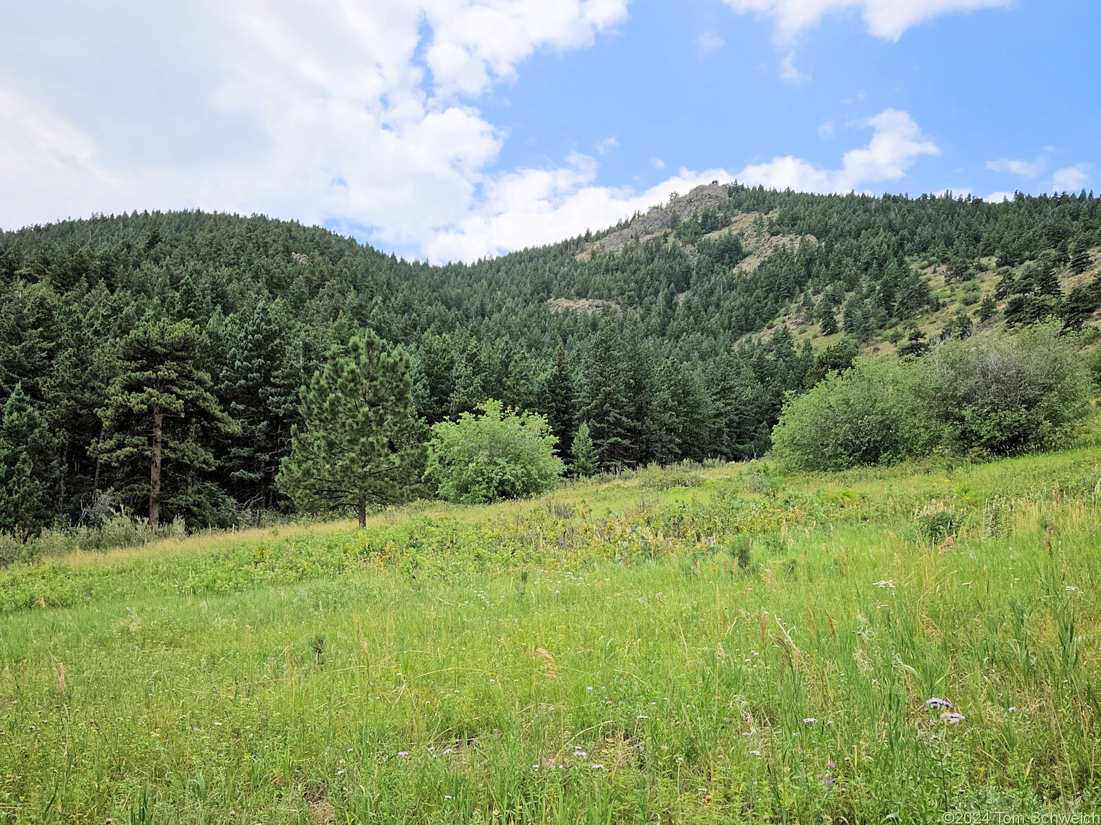 Colorado, Jefferson County, Coal Creek Canyon Study Area