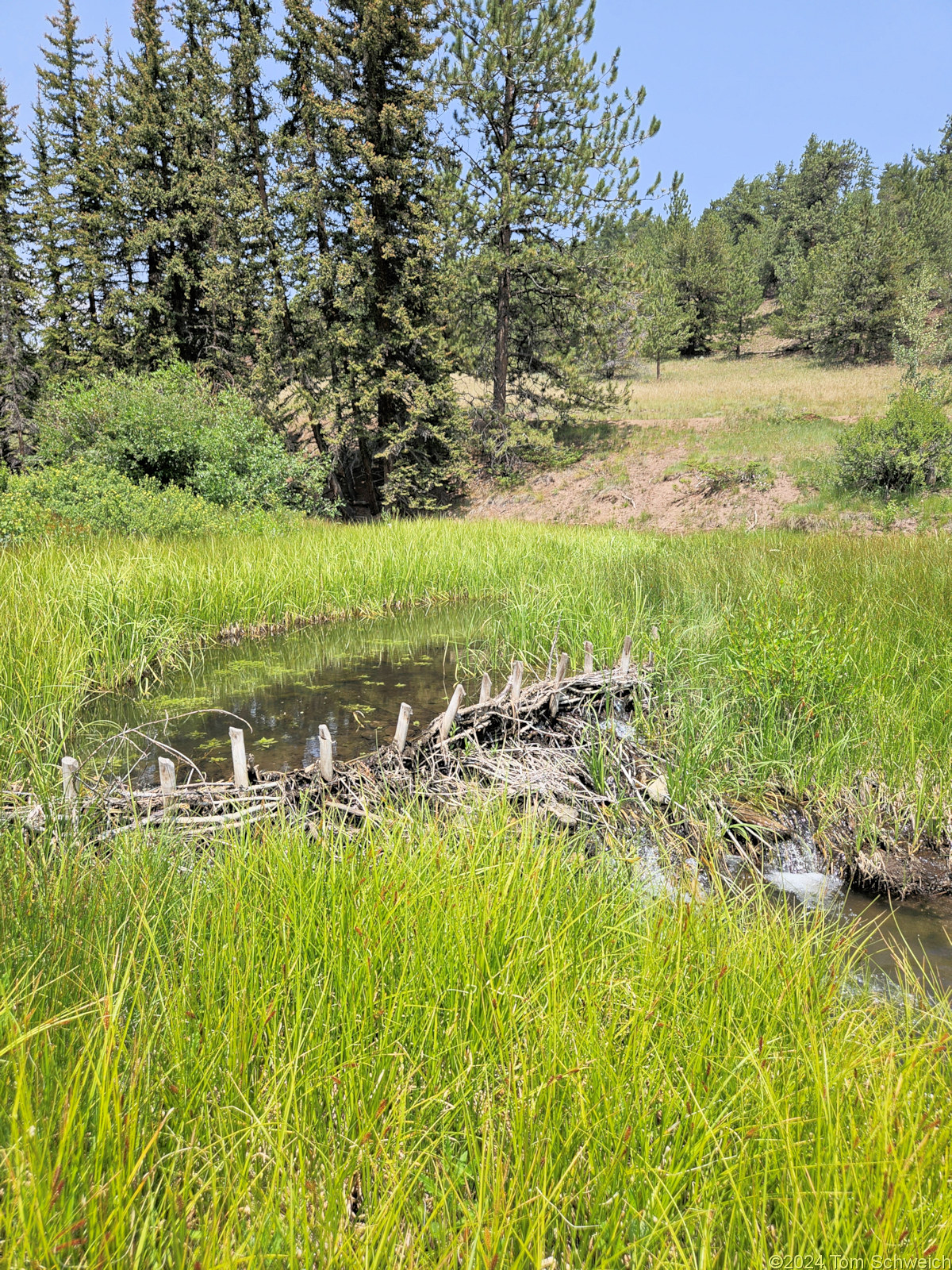 Colorado, Park County, Salt Creek