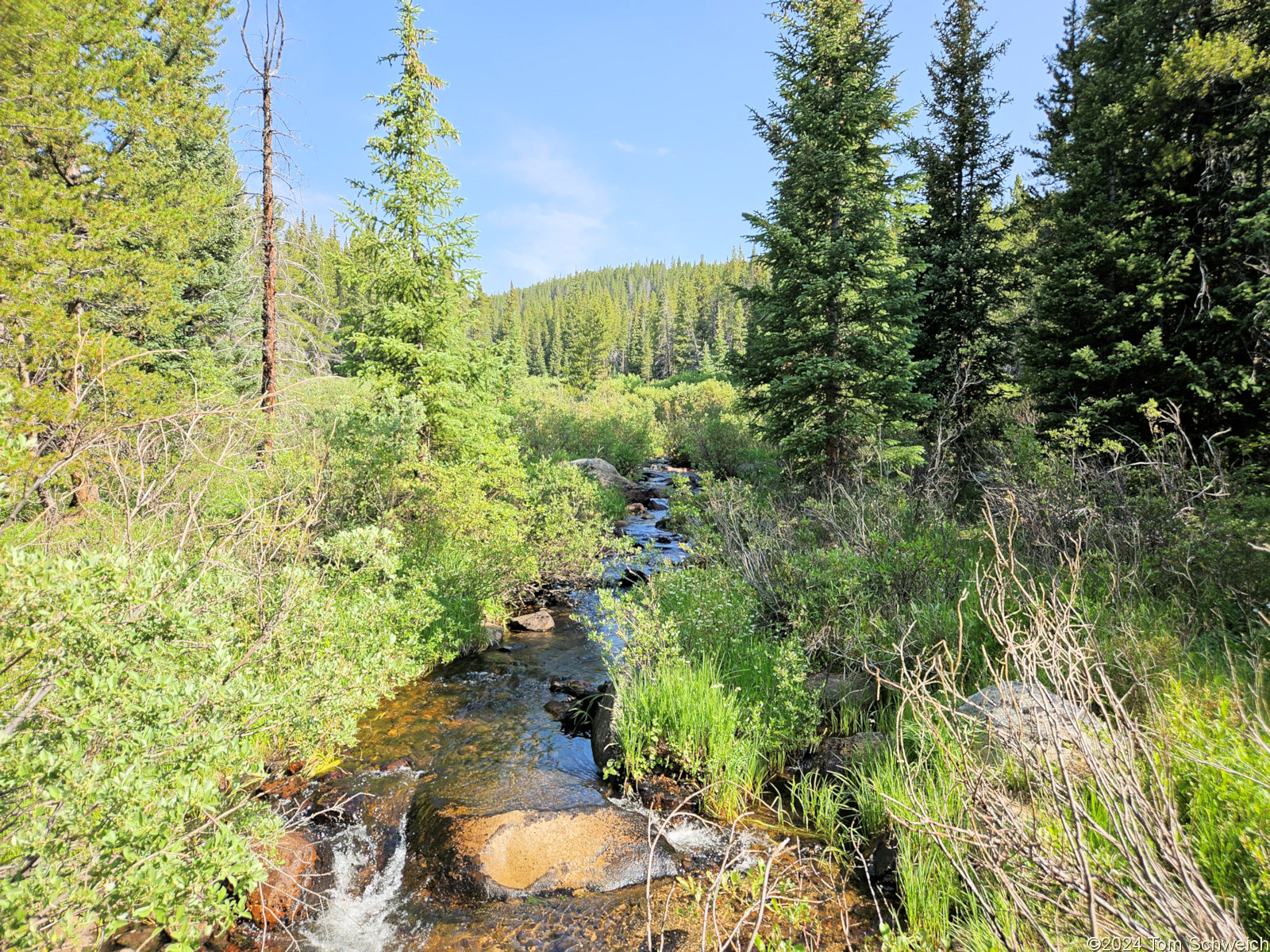 Colorado, Lake County, North Fork West Tennessee Creek