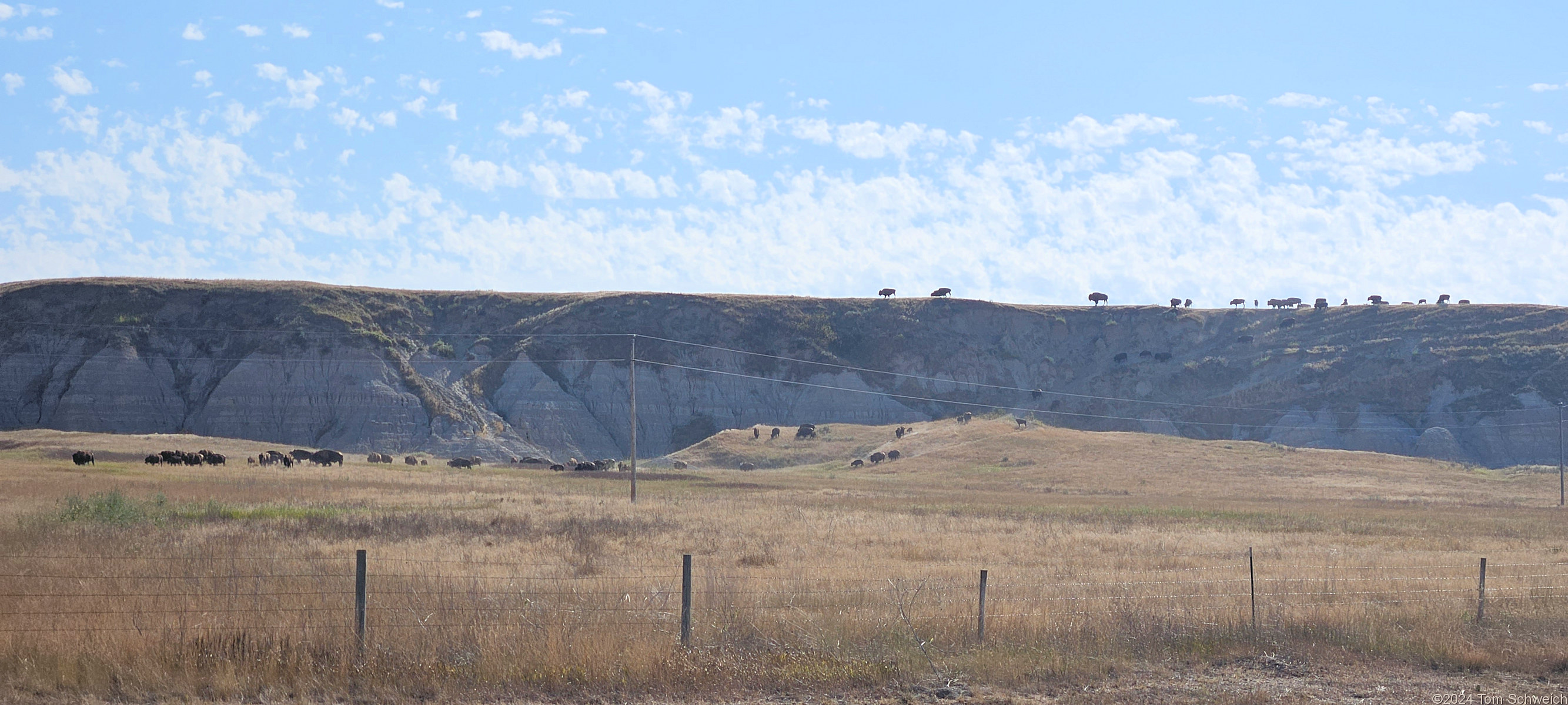 South Dakota, Pennington County, Buffalo Gap National Grassland