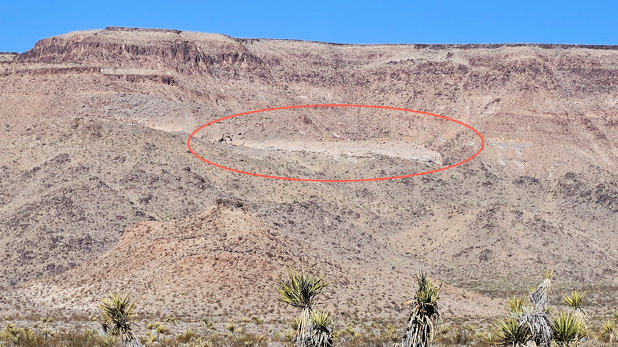 California, San Bernardino County, Wild Horse Mesa