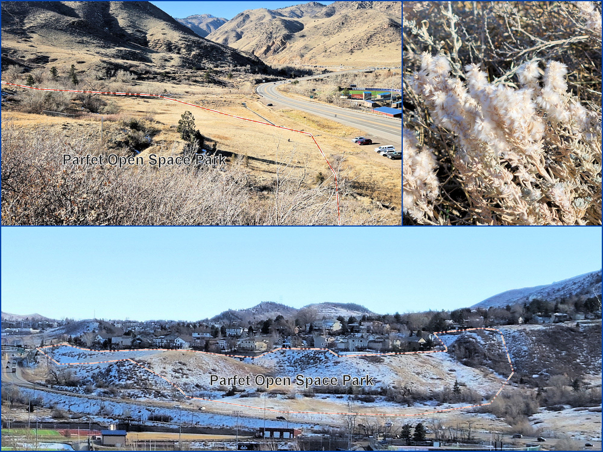 Colorado, Jefferson County, Golden, Parfet Open Space