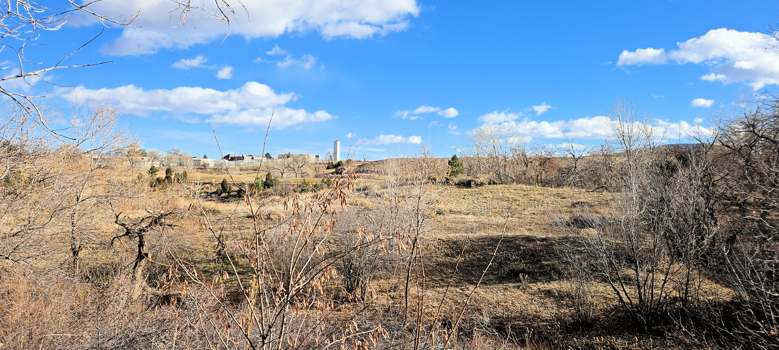 Colorado, Jefferson County, Golden, Cottonwood Natural Area