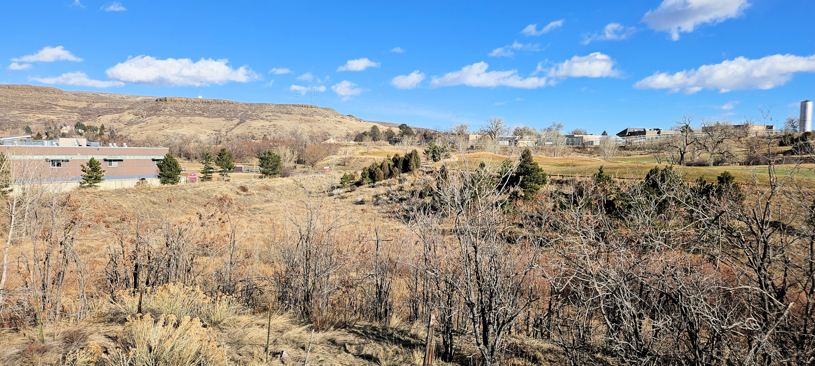 Colorado, Jefferson County, Golden, Cottonwood Natural Area