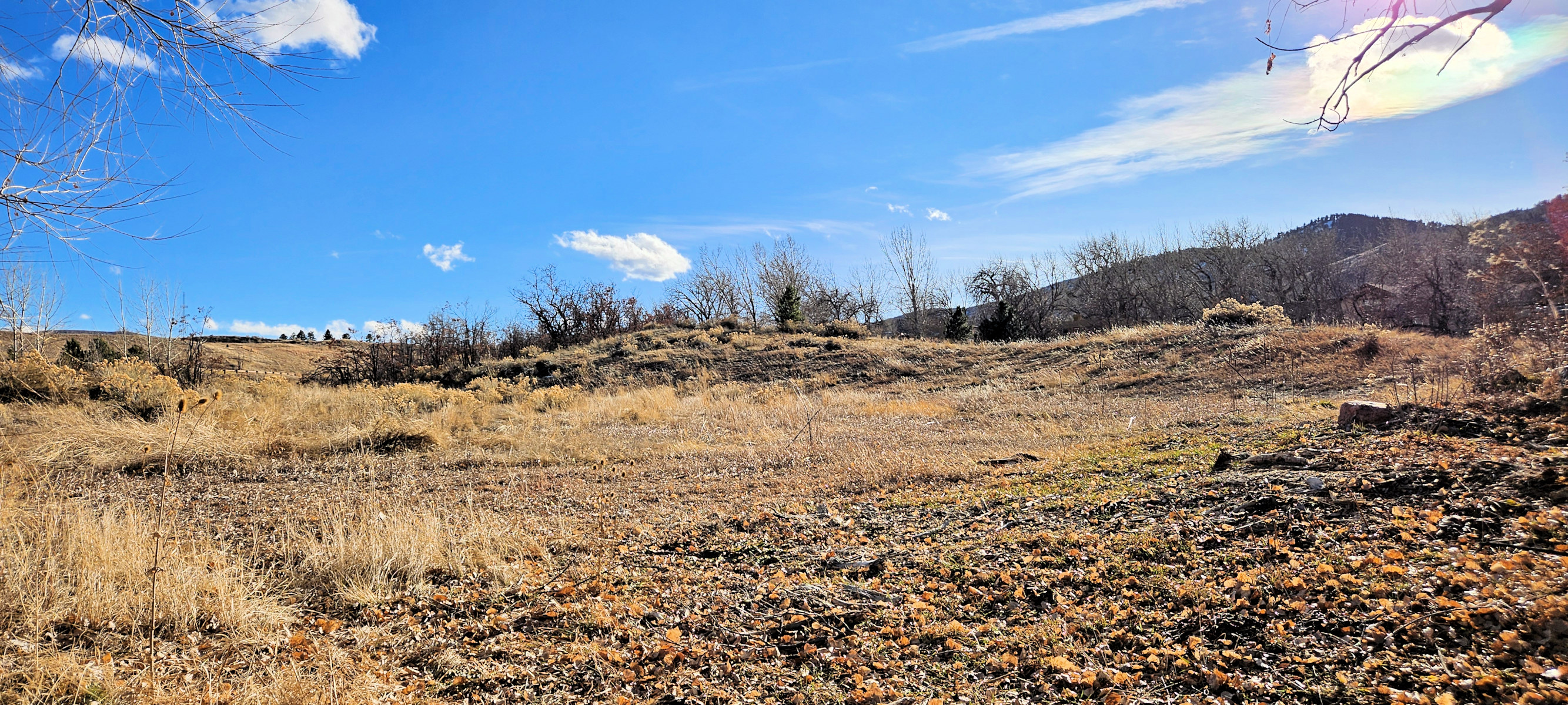 Colorado, Jefferson County, Golden, Cottonwood Natural Area