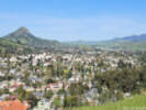 Full Size Image