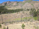 Full Size Image