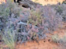 Full Size Image