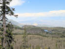 Full Size Image