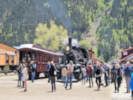 Full Size Image