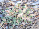 Full Size Image