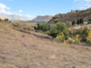 Full Size Image