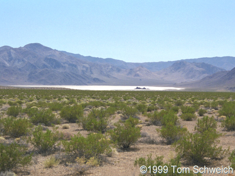 The Racetrack as seen from a distance.