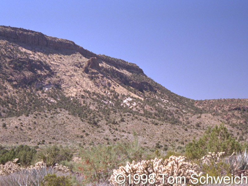 Winkler formation on the north face of Wild Horse Mesa.