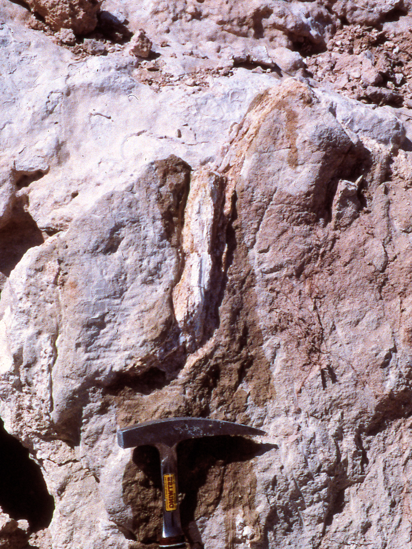 California, San Bernardino County, Hackberry Mountain, Winkler Formation.